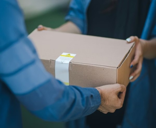 Express courier delivery